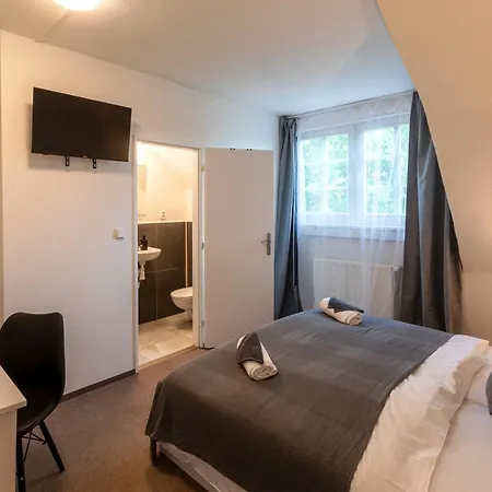Zelena Ratolest Ceske Budejovice